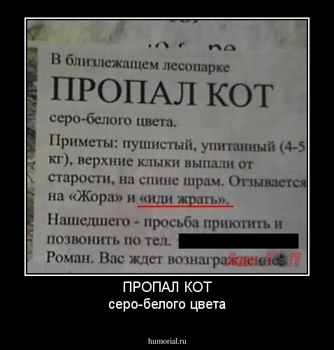 ПРОПАЛ КОТ
серо-белого цвета