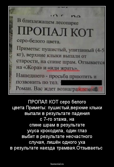 ПРОПАЛ КОТ  
серо белого цвета
Приметы: пушистый,верхние клыки выпали в результате падения с 7-го этажа, на спине шрам в результате укуса крокодила, один глаз выбит в результате несчастного случая, лишён одного уха в результате наезда трамвая.Отзываетьс