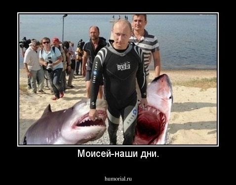 Моисей-наши дни.
