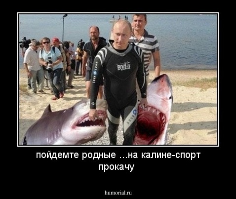 пойдемте родные ...на калине-спорт прокачу