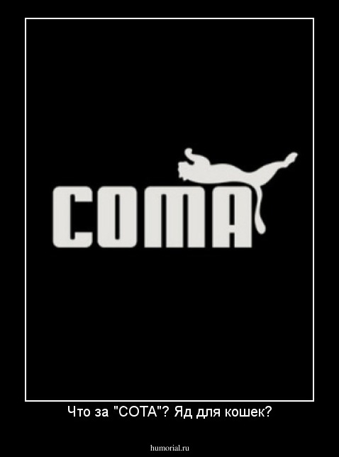 Что за "СОТА"? Яд для кошек?