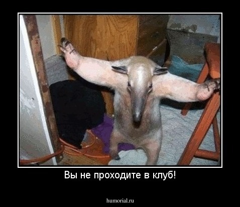 Вы не проходите в клуб!