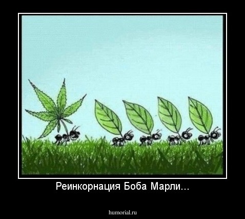 Реинкорнация Боба Марли...