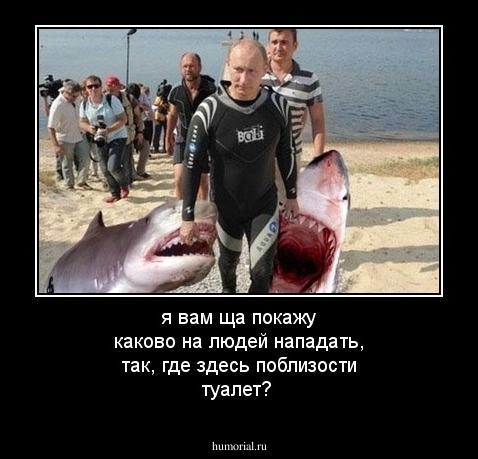 я вам ща покажу каково на людей нападать, так, где здесь поблизости туалет?