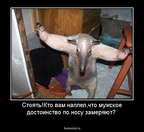 Стоять!Кто вам наплел,что мужское достоинство по носу замеряют?