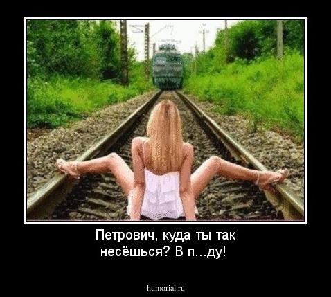 Петрович, куда ты так несёшься? В п...ду!