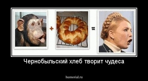 Чернобыльский хлеб творит чудеса