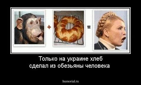 Только на украине хлеб сделал из обезьяны человека