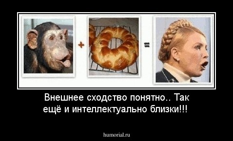 Внешнее сходство понятно.. Так ещё и интеллектуально близки!!!
