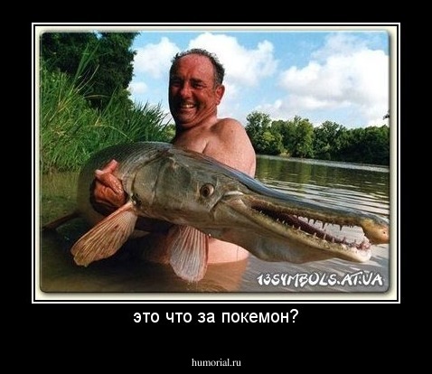 это что за покемон?
