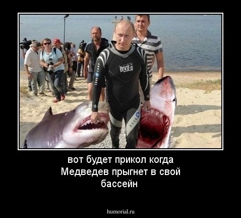 вот будет прикол когда Медведев прыгнет в свой бассейн