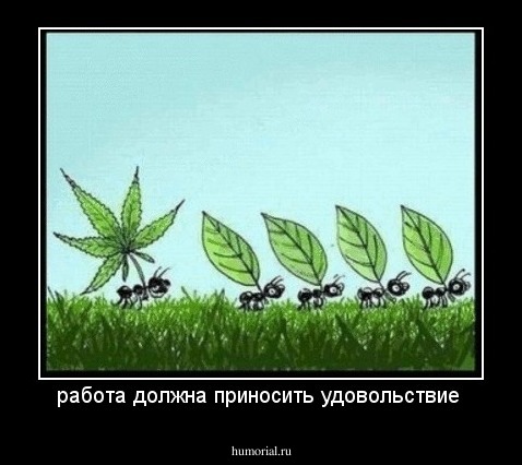 работа должна приносить удовольствие

