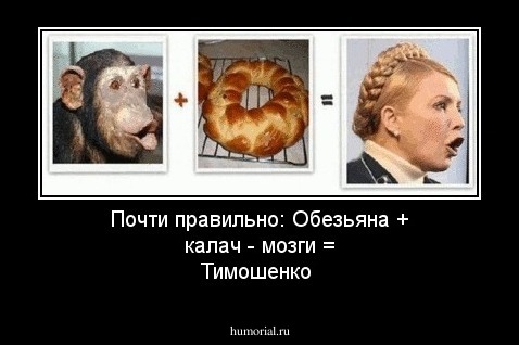 Почти правильно: Обезьяна + калач - мозги = Тимошенко