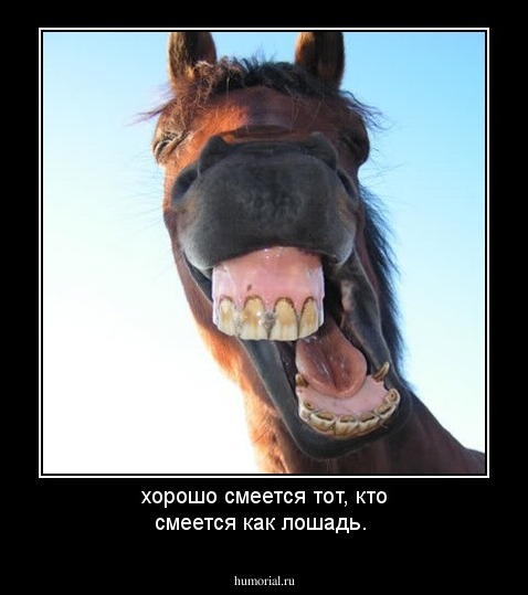 хорошо смеется тот, кто смеется как лошадь.