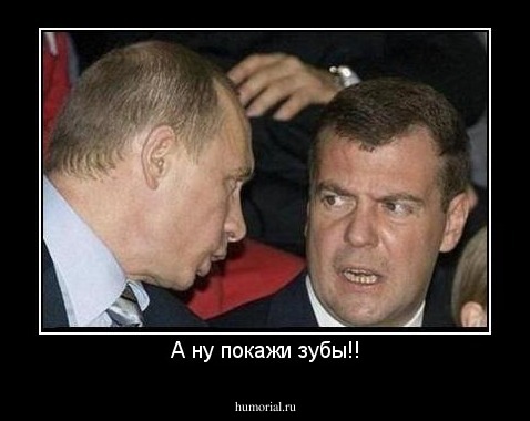 А ну покажи зубы!!