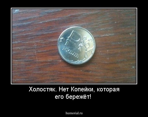 Холостяк. Нет Копейки, которая его бережёт!