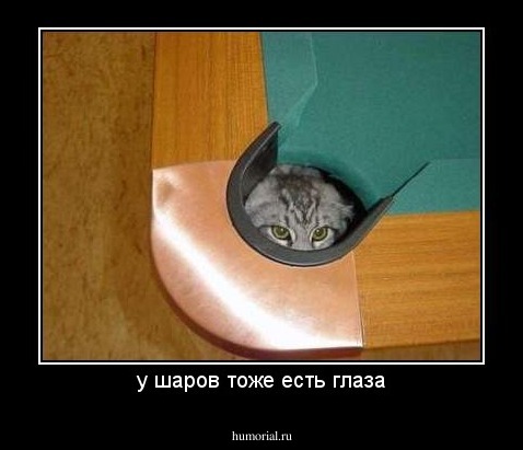 у шаров тоже есть глаза