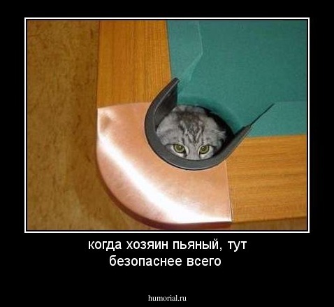 когда хозяин пьяный, тут безопаснее всего