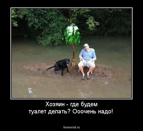Хозяин - где будем туалет делать? Ооочень надо!