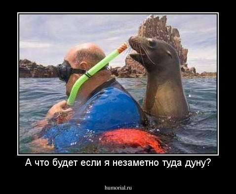 А что будет если я незаметно туда дуну?