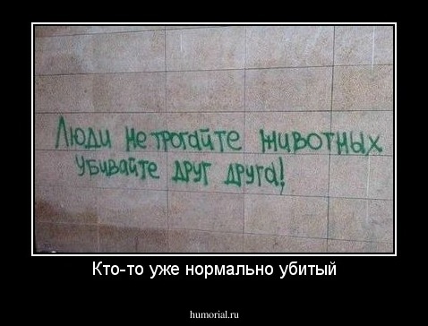 Кто-то уже нормально убитый