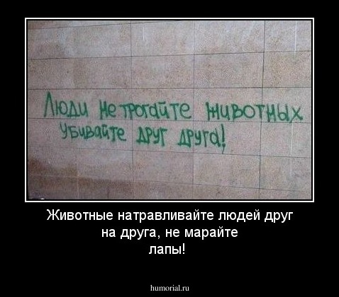 Животные натравливайте людей друг на друга, не марайте лапы!