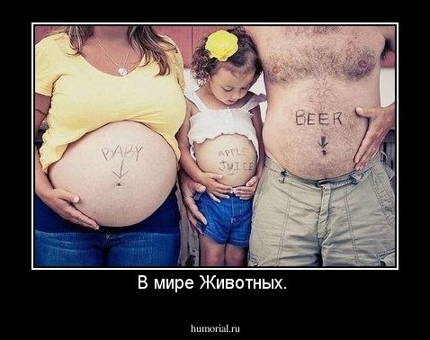 В мире Животных. 