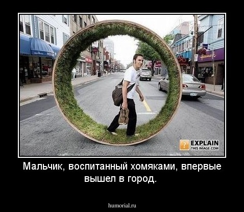 Мальчик, воспитанный хомяками, впервые вышел в город.