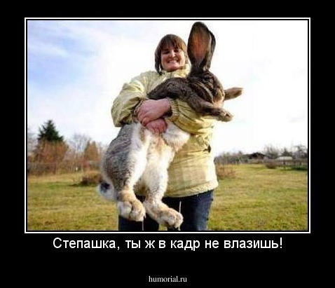 Степашка, ты ж в кадр не влазишь!