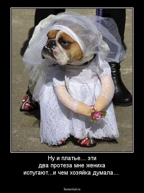 Ну и платье... эти два протеза мне жениха испугают...и чем хозяйка думала...