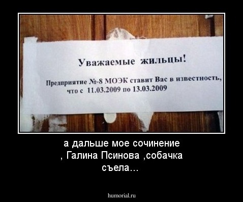 а дальше мое сочинение , Галина Псинова ,собачка съела...