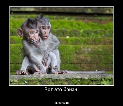 Вот это банан!