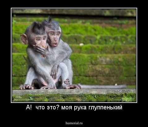 А!  что это? моя рука глуппенький