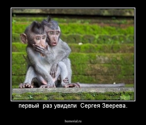  первый  раз увидели  Сергея Зверева. 