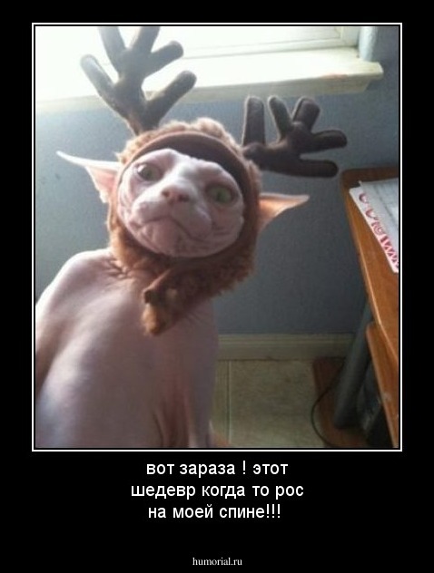 вот зараза ! этот шедевр когда то  рос на моей спине!!!