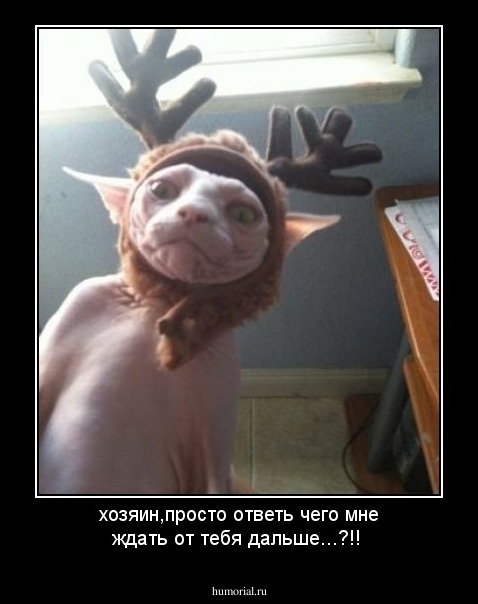 хозяин,просто ответь чего мне ждать от тебя дальше...?!!
