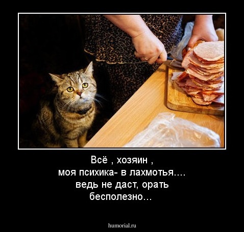 Всё , хозяин , моя психика- в лахмотья.... ведь не даст, орать бесполезно...