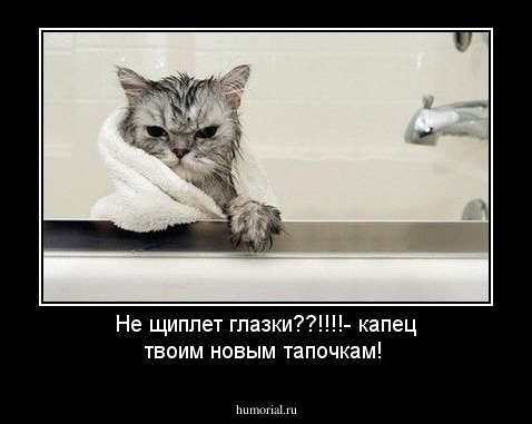 Не щиплет глазки??!!!!-  капец  твоим новым тапочкам!