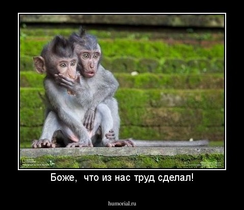 Боже,  что из нас труд сделал!