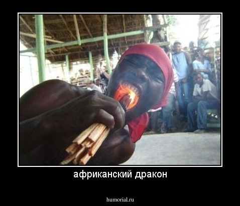 африканский дракон