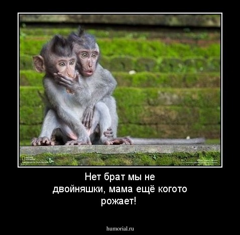 Нет брат мы не двойняшки, мама ещё когото рожает!