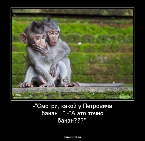 -"Смотри, какой у Петровича банан..."
-"А это точно банан???"

