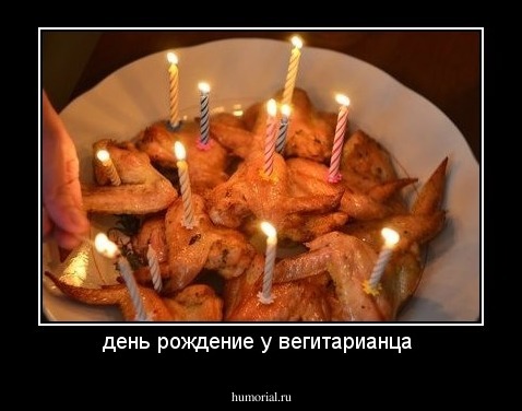 день рождение у вегитарианца 