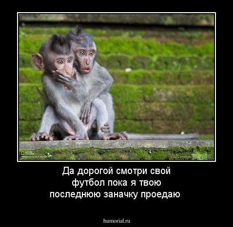 Да дорогой смотри свой футбол пока я твою последнюю заначку проедаю
