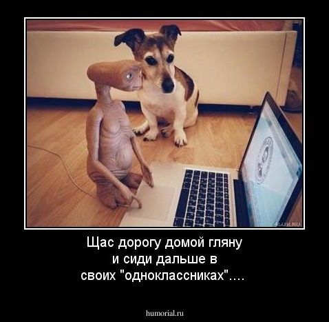 Щас дорогу домой гляну и сиди дальше в своих "одноклассниках"....