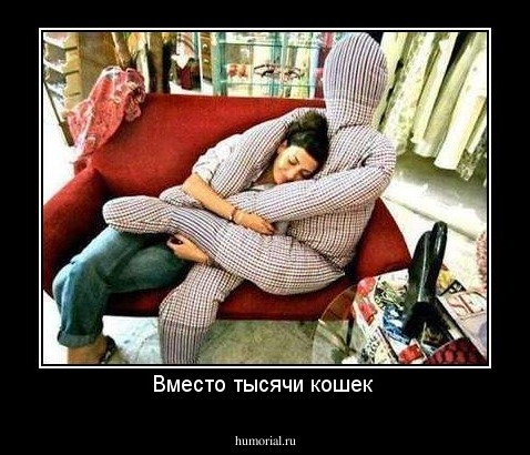 Вместо тысячи кошек 