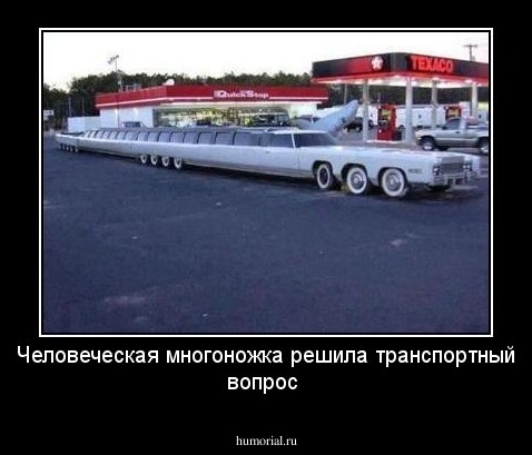 Человеческая многоножка решила транспортный вопрос 