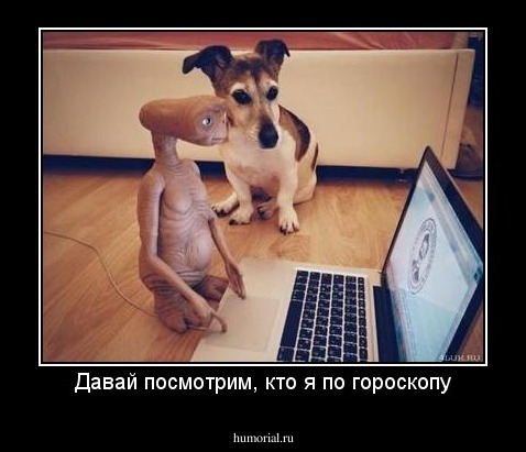 Давай посмотрим, кто я по гороскопу