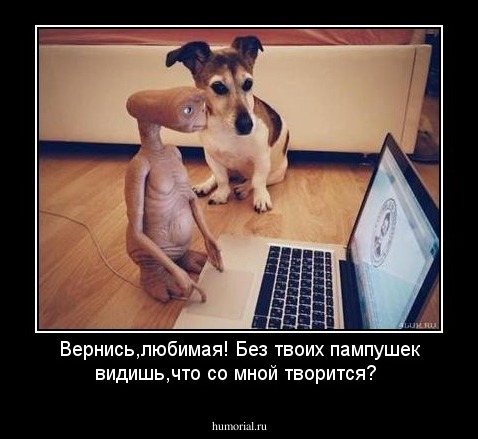 Вернись,любимая! Без твоих пампушек видишь,что со мной творится?
