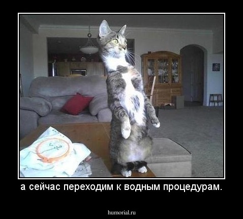 а сейчас переходим к водным процедурам.